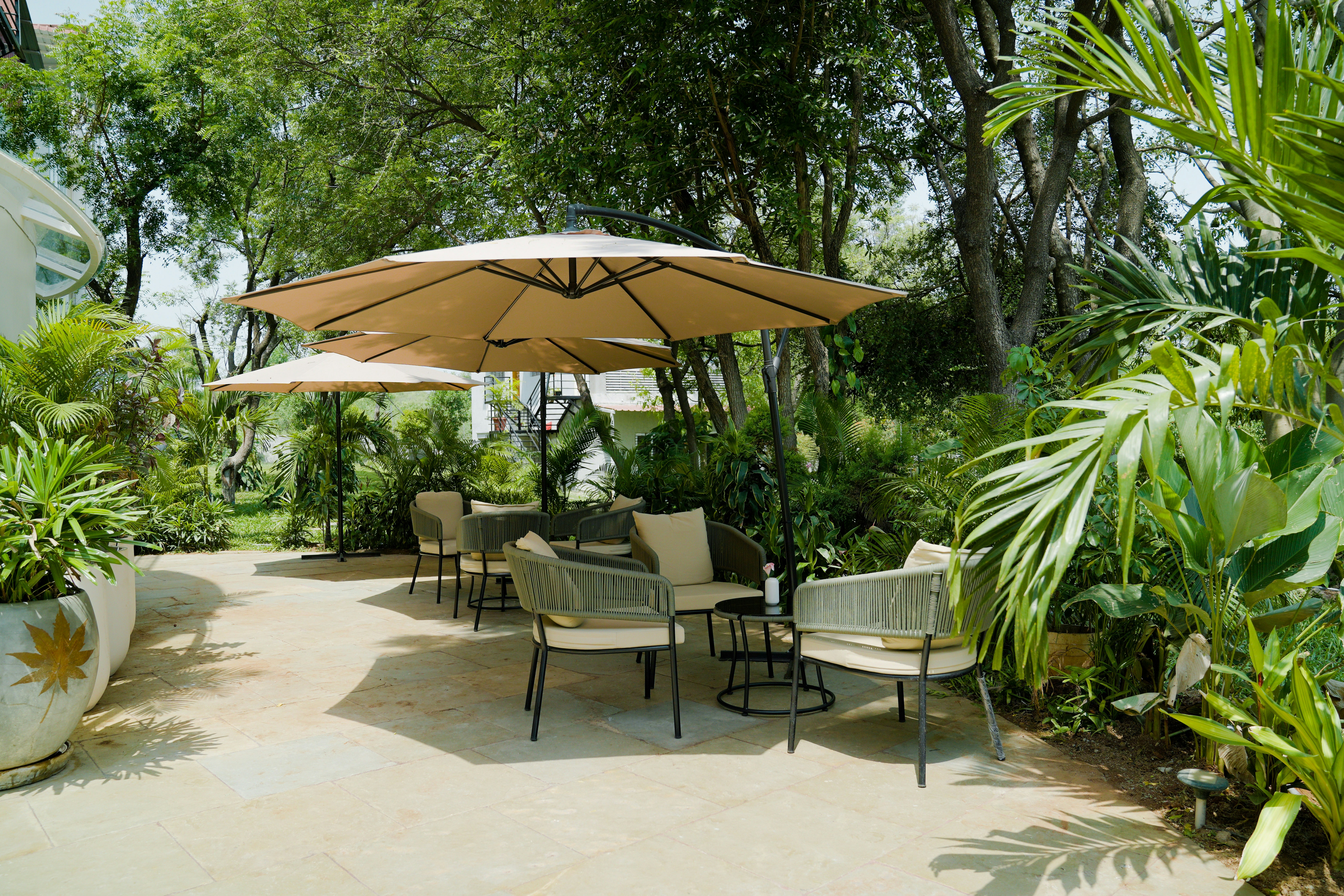 Garden landscape